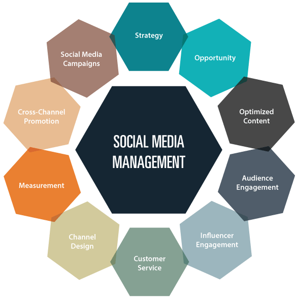 Social Media Management Services, SMM Services, Best Social Media Marketing Agency in Brisbane, CA