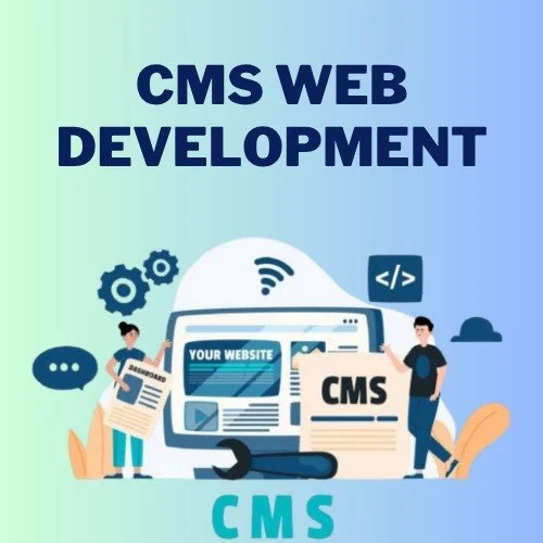 Custom CMS Development Services | CMS Web Application Development in Brisbane, CA